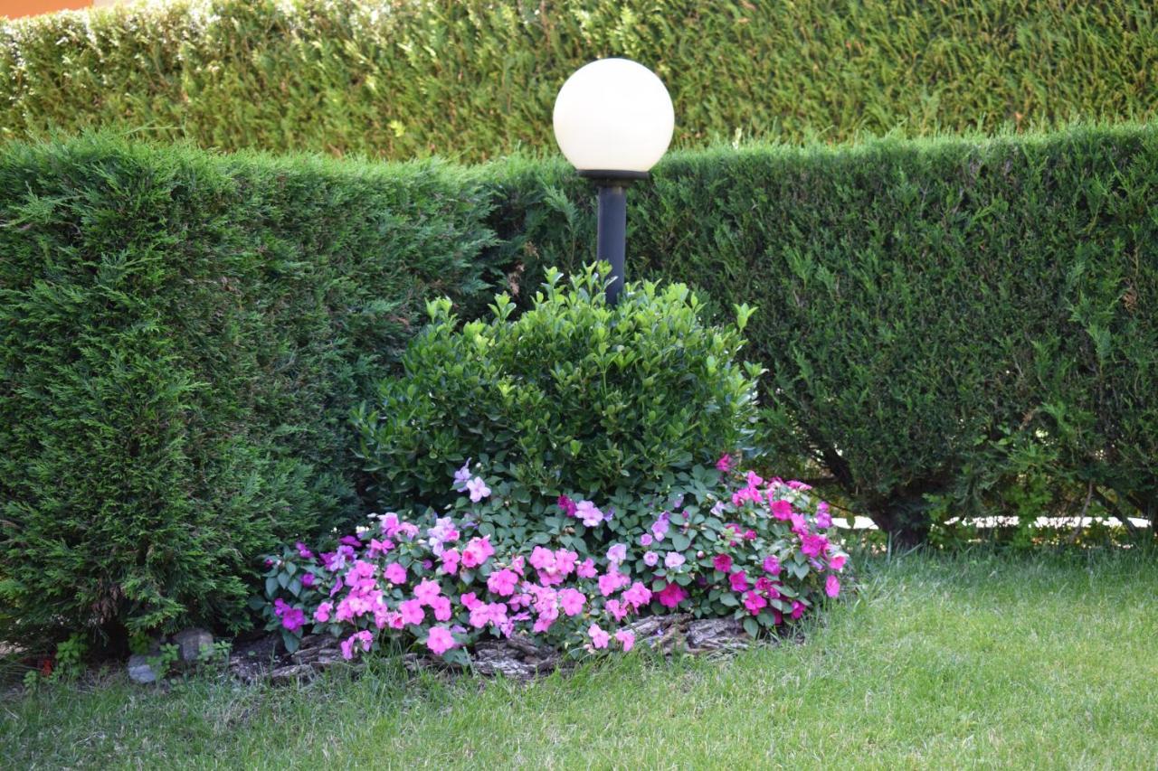 B&B Nonno Carlo Trento Exterior photo