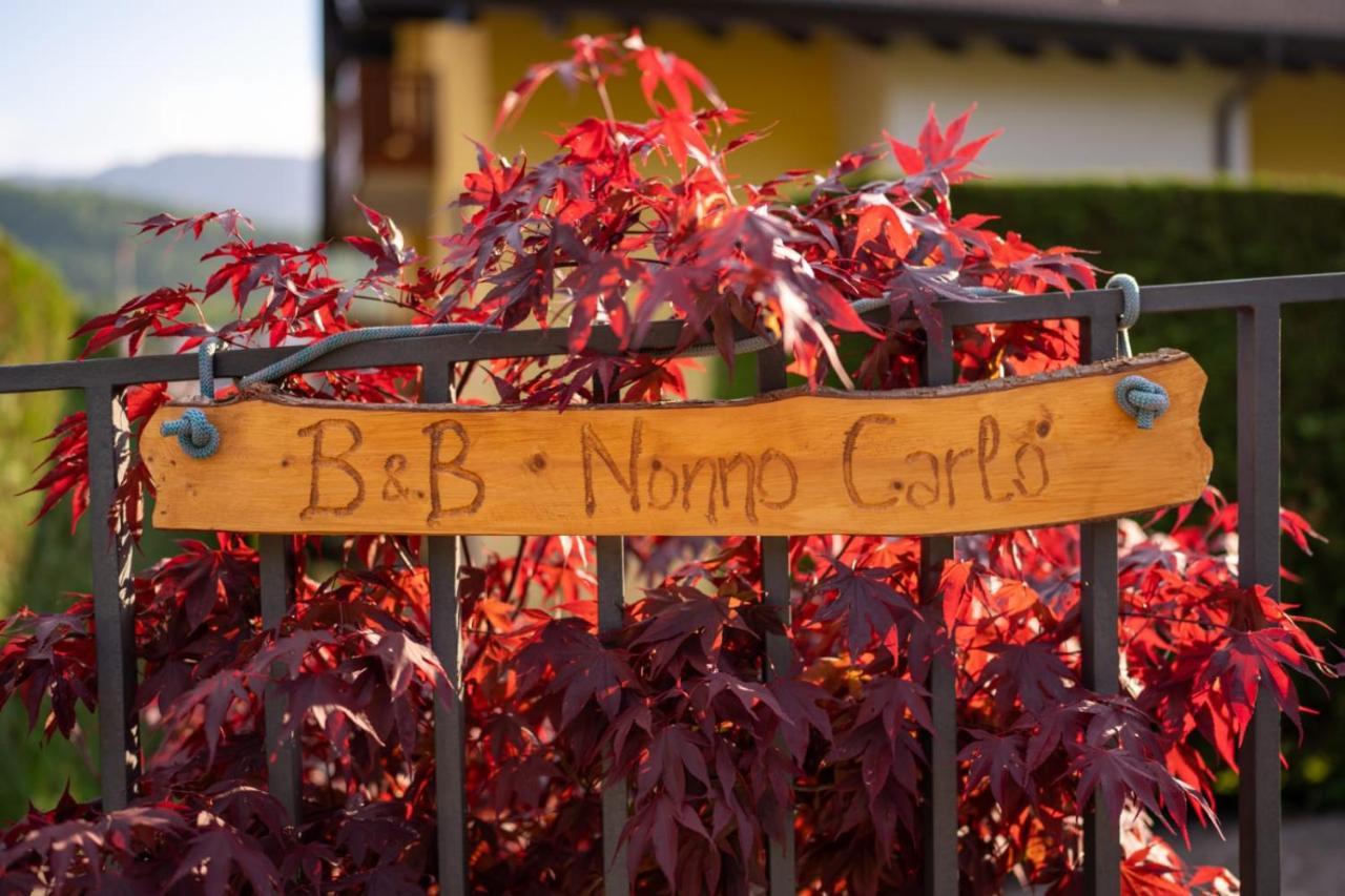 B&B Nonno Carlo Trento Exterior photo